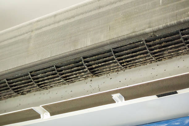 Best HVAC System Cleaning  in Dallas, OR